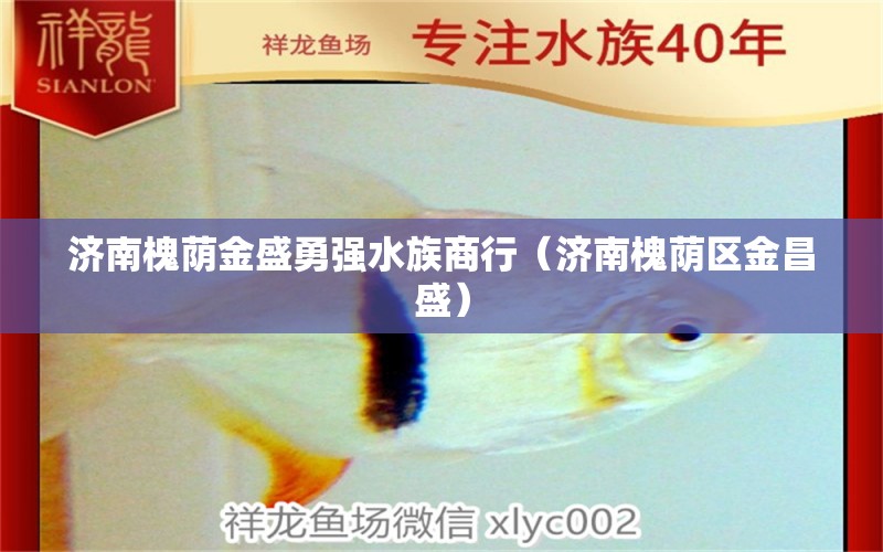 济南槐荫金盛勇强水族商行（济南槐荫区金昌盛）