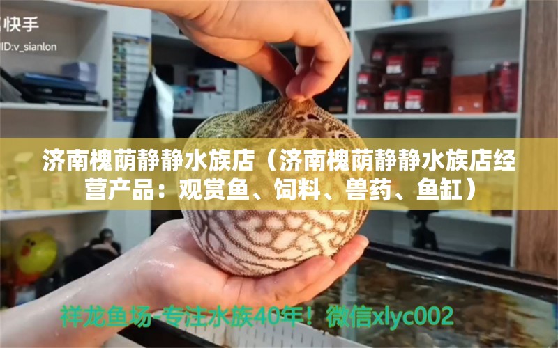 济南槐荫静静水族店（济南槐荫静静水族店经营产品：观赏鱼、饲料、兽药、鱼缸） 全国观赏鱼市场 第2张