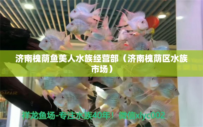 济南槐荫鱼美人水族经营部（济南槐荫区水族市场） 全国水族馆企业名录