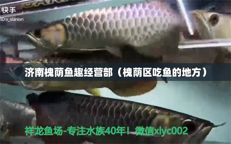 济南槐荫鱼趣经营部（槐荫区吃鱼的地方） 全国水族馆企业名录