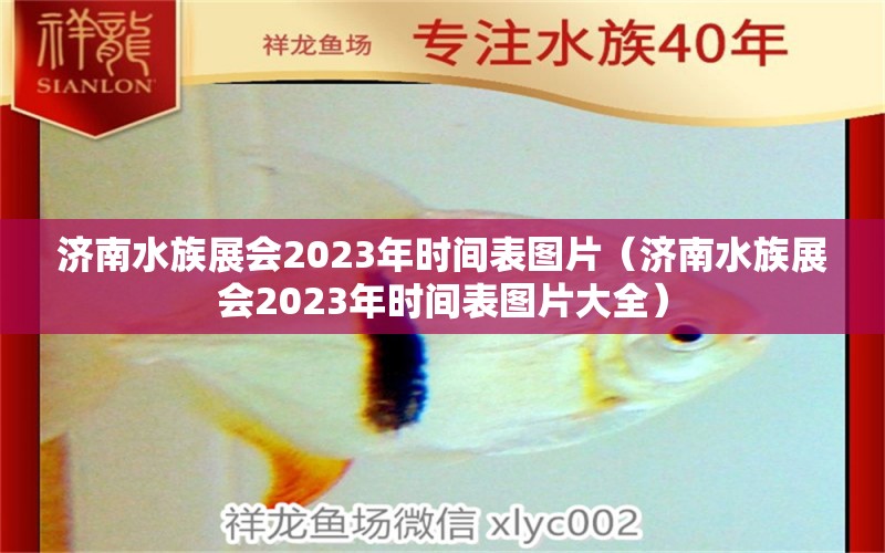 济南水族展会2023年时间表图片（济南水族展会2023年时间表图片大全）