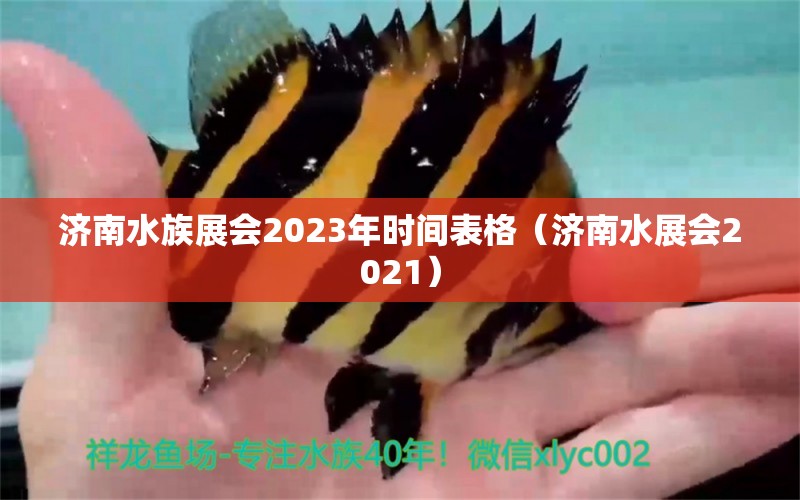 济南水族展会2023年时间表格（济南水展会2021）