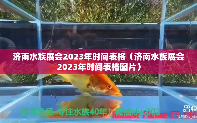 济南水族展会2023年时间表格（济南水族展会2023年时间表格图片）