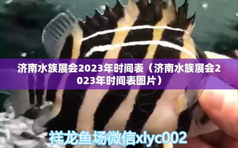 济南水族展会2023年时间表（济南水族展会2023年时间表图片）