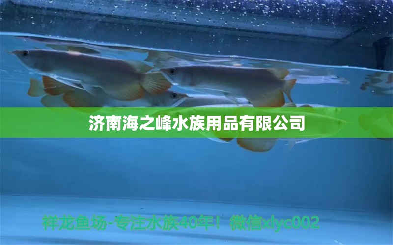 济南海之峰水族用品有限公司