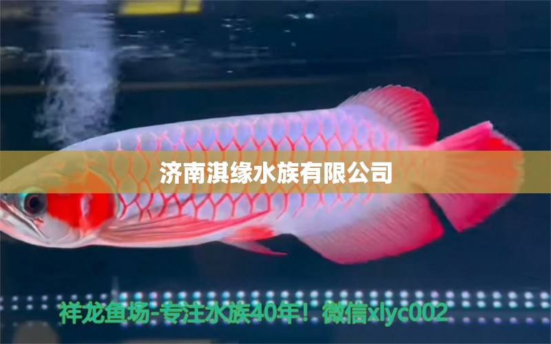 济南淇缘水族有限公司