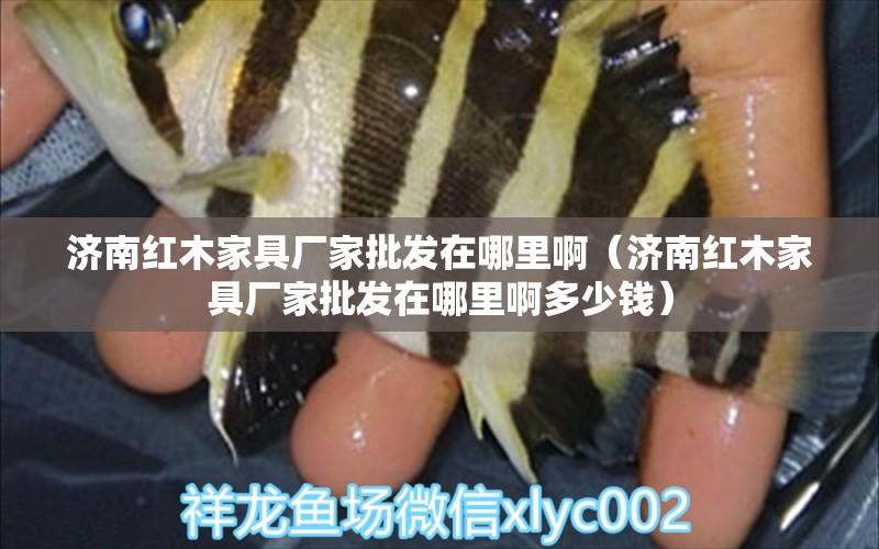 济南红木家具厂家批发在哪里啊（济南红木家具厂家批发在哪里啊多少钱）