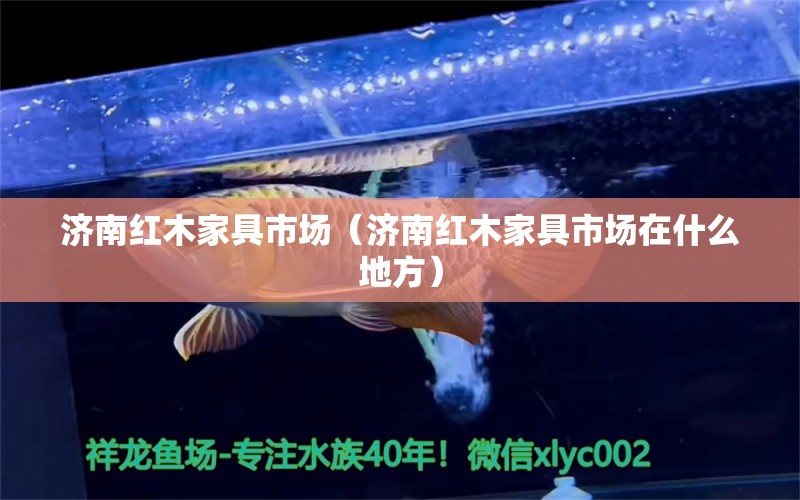 济南红木家具市场（济南红木家具市场在什么地方） 文玩