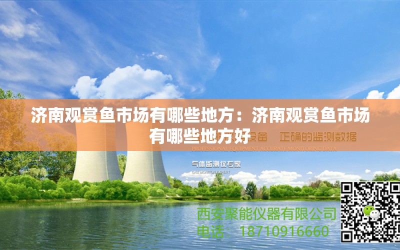 济南观赏鱼市场有哪些地方：济南观赏鱼市场有哪些地方好 观赏鱼市场（混养鱼）