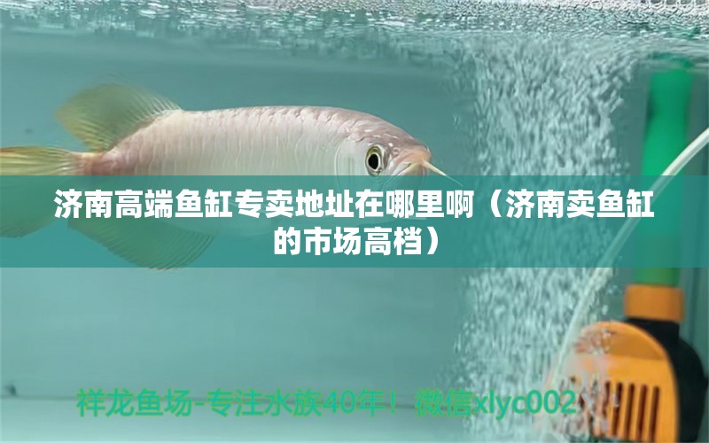 济南高端鱼缸专卖地址在哪里啊（济南卖鱼缸的市场高档） 喷点菠萝鱼 第1张