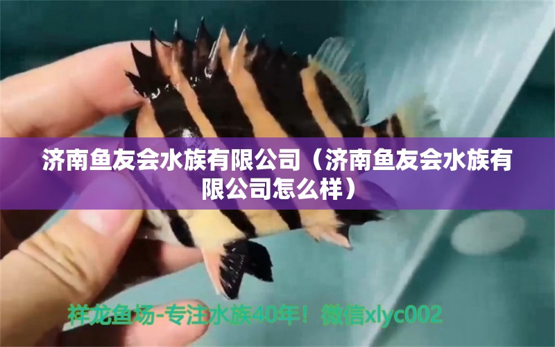 济南鱼友会水族有限公司（济南鱼友会水族有限公司怎么样）