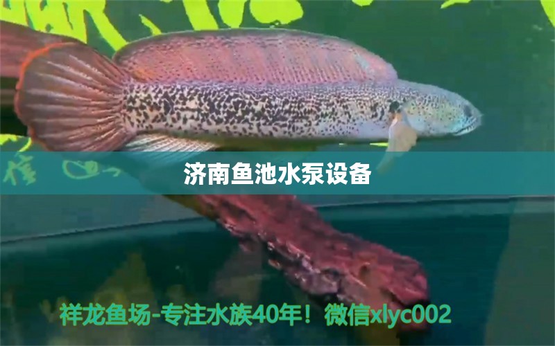 济南鱼池水泵设备