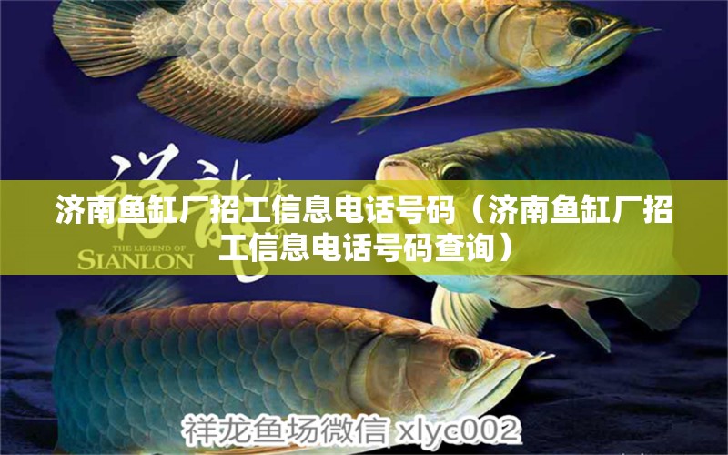 济南鱼缸厂招工信息电话号码（济南鱼缸厂招工信息电话号码查询）