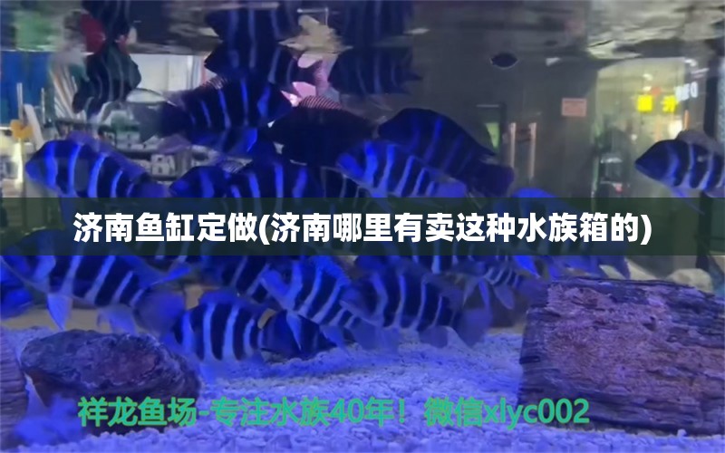 济南鱼缸定做(济南哪里有卖这种水族箱的) 鱼缸/水族箱