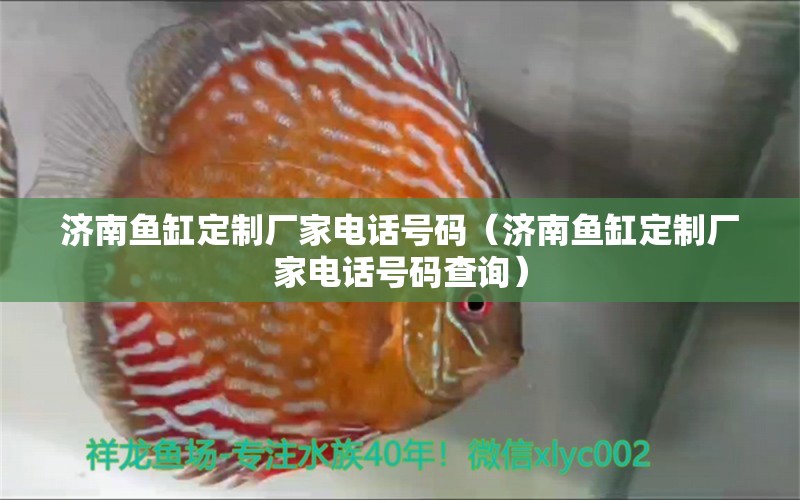 济南鱼缸定制厂家电话号码（济南鱼缸定制厂家电话号码查询）