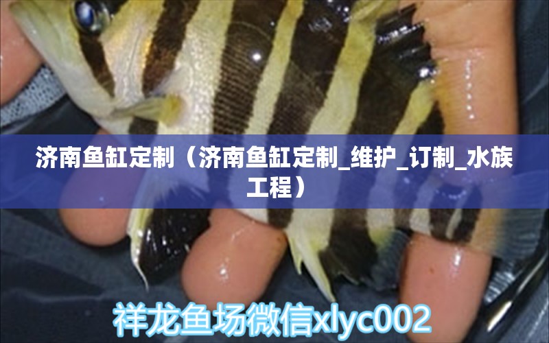 济南鱼缸定制（济南鱼缸定制_维护_订制_水族工程）