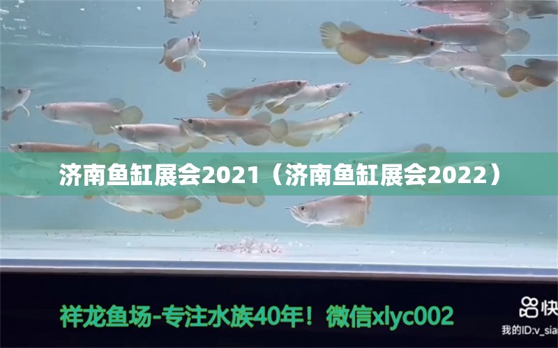 济南鱼缸展会2021（济南鱼缸展会2022）