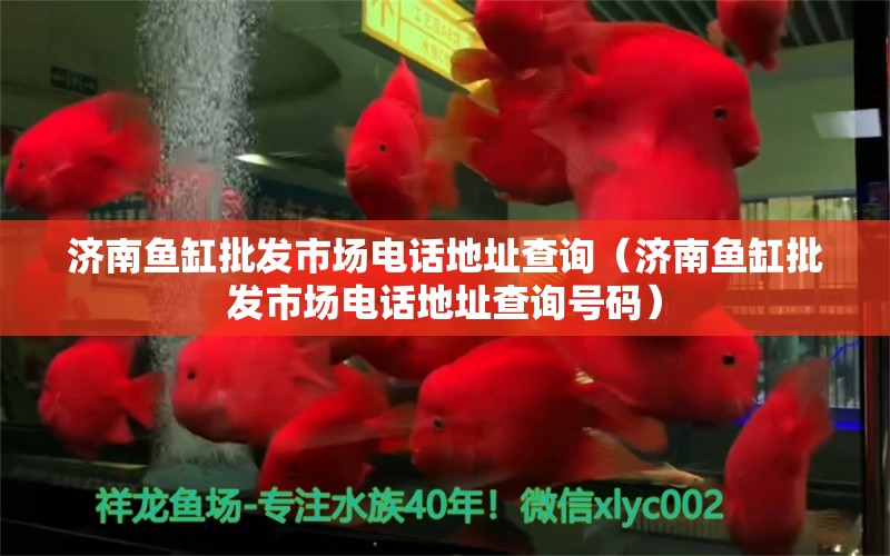 济南鱼缸批发市场电话地址查询（济南鱼缸批发市场电话地址查询号码）