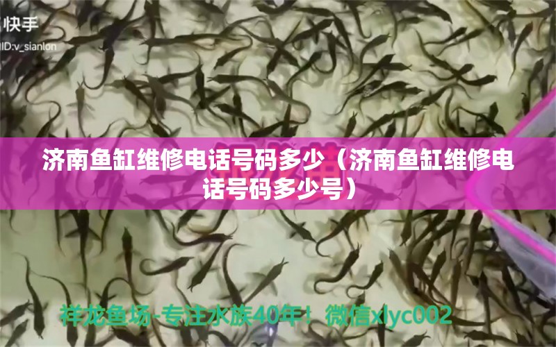 济南鱼缸维修电话号码多少（济南鱼缸维修电话号码多少号）