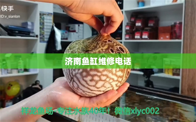 济南鱼缸维修电话