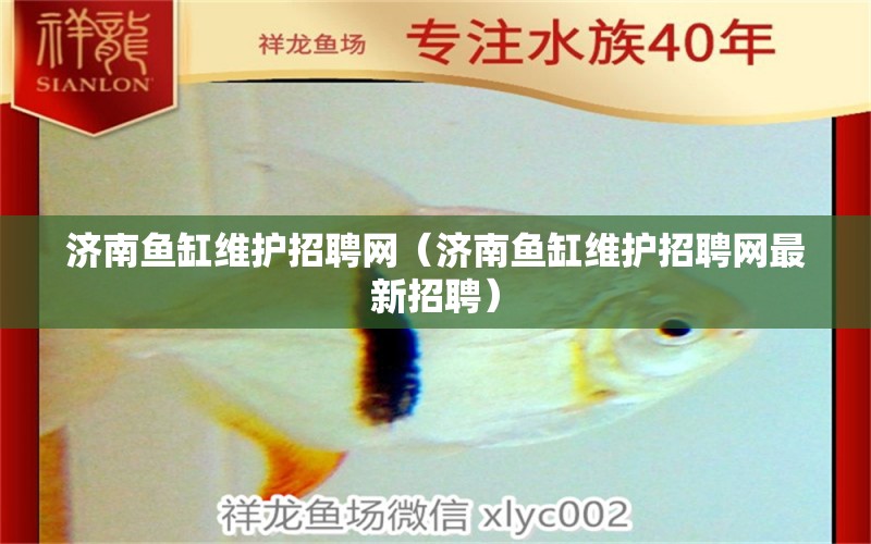 济南鱼缸维护招聘网（济南鱼缸维护招聘网最新招聘）