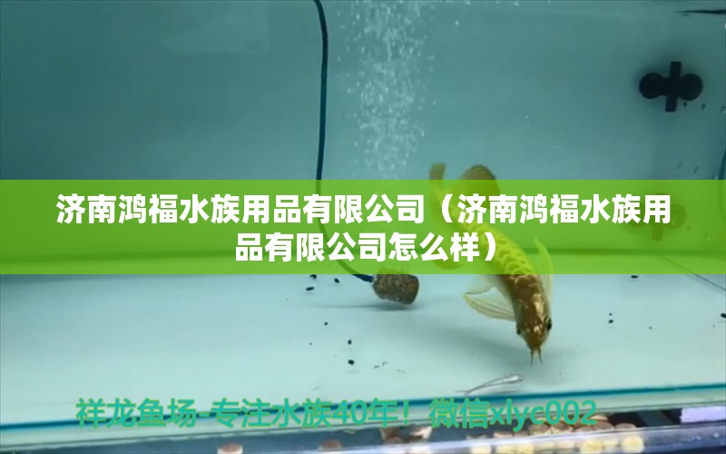 济南鸿福水族用品有限公司（济南鸿福水族用品有限公司怎么样）