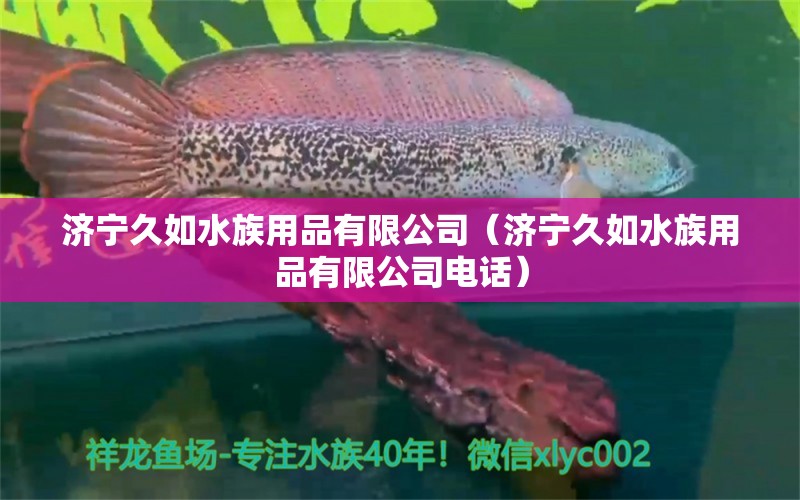 济宁久如水族用品有限公司（济宁久如水族用品有限公司电话） 水族用品