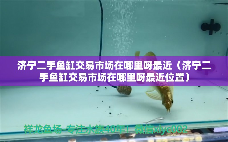 济宁二手鱼缸交易市场在哪里呀最近（济宁二手鱼缸交易市场在哪里呀最近位置）