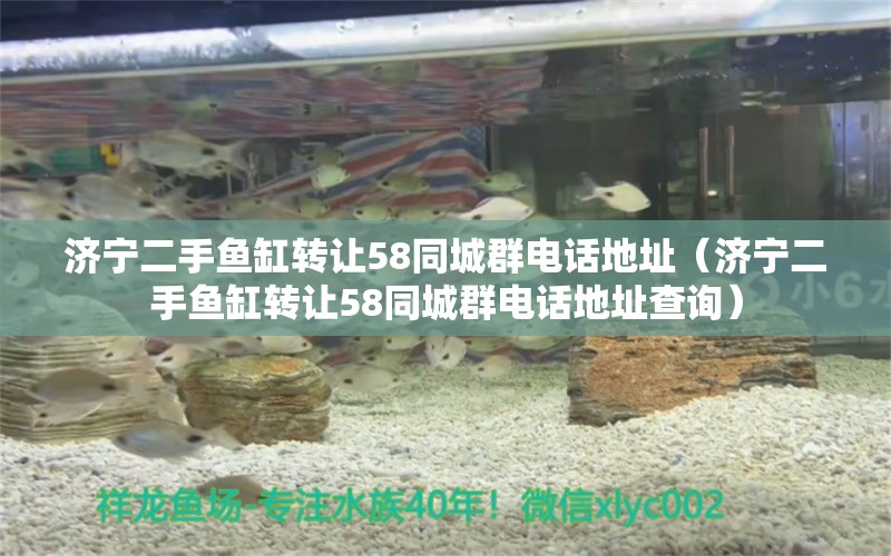 济宁二手鱼缸转让58同城群电话地址（济宁二手鱼缸转让58同城群电话地址查询）