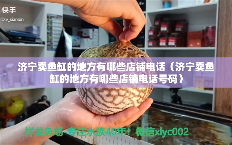 济宁卖鱼缸的地方有哪些店铺电话（济宁卖鱼缸的地方有哪些店铺电话号码）