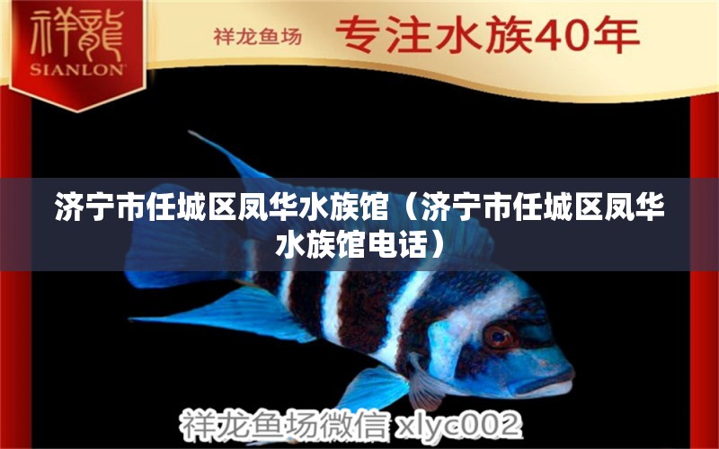 济宁市任城区凤华水族馆（济宁市任城区凤华水族馆电话）