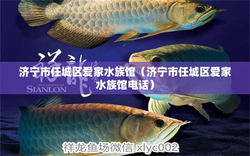 济宁市任城区爱家水族馆（济宁市任城区爱家水族馆电话）