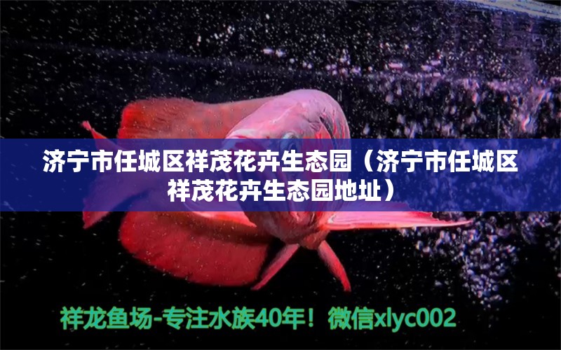 济宁市任城区祥茂花卉生态园（济宁市任城区祥茂花卉生态园地址） 全国水族馆企业名录