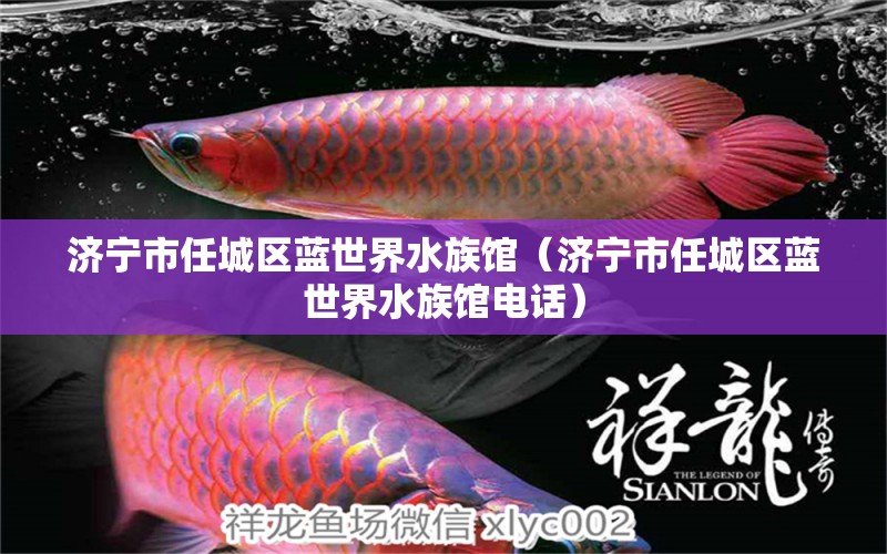 济宁市任城区蓝世界水族馆（济宁市任城区蓝世界水族馆电话） 全国水族馆企业名录