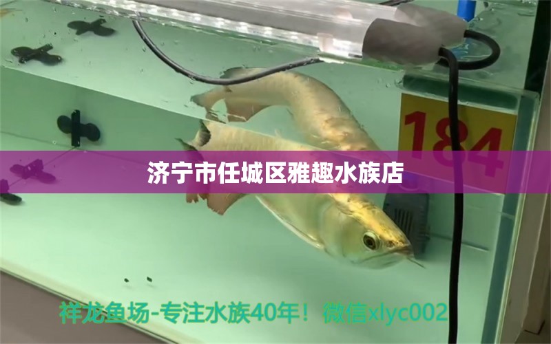 济宁市任城区雅趣水族店 全国水族馆企业名录