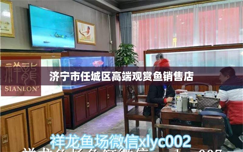 济宁市任城区高端观赏鱼销售店 全国水族馆企业名录