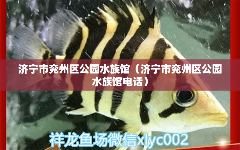 济宁市兖州区公园水族馆（济宁市兖州区公园水族馆电话）