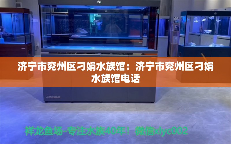 济宁市兖州区刁娟水族馆：济宁市兖州区刁娟水族馆电话 全国水族馆企业名录