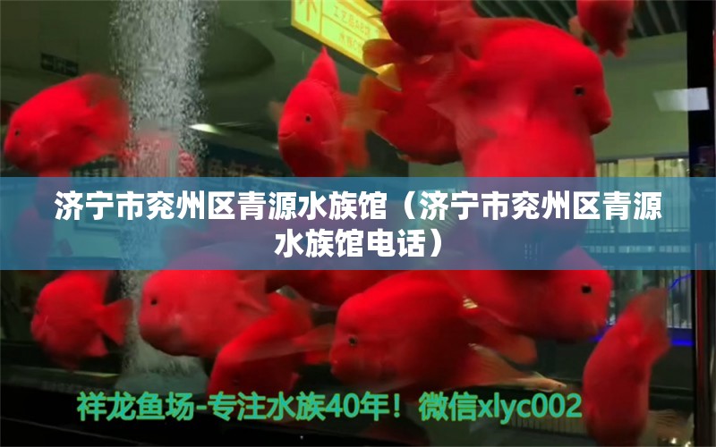 济宁市兖州区青源水族馆（济宁市兖州区青源水族馆电话） 全国水族馆企业名录