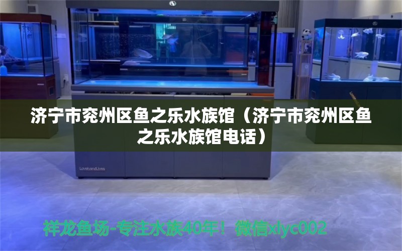 济宁市兖州区鱼之乐水族馆（济宁市兖州区鱼之乐水族馆电话） 全国水族馆企业名录