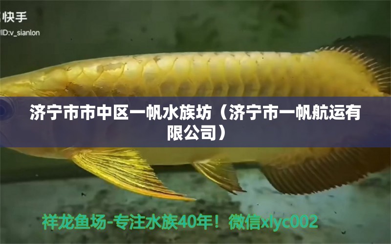 济宁市市中区一帆水族坊（济宁市一帆航运有限公司） 全国水族馆企业名录