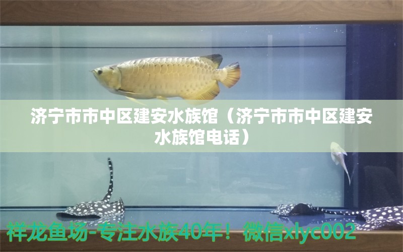 济宁市市中区建安水族馆（济宁市市中区建安水族馆电话）