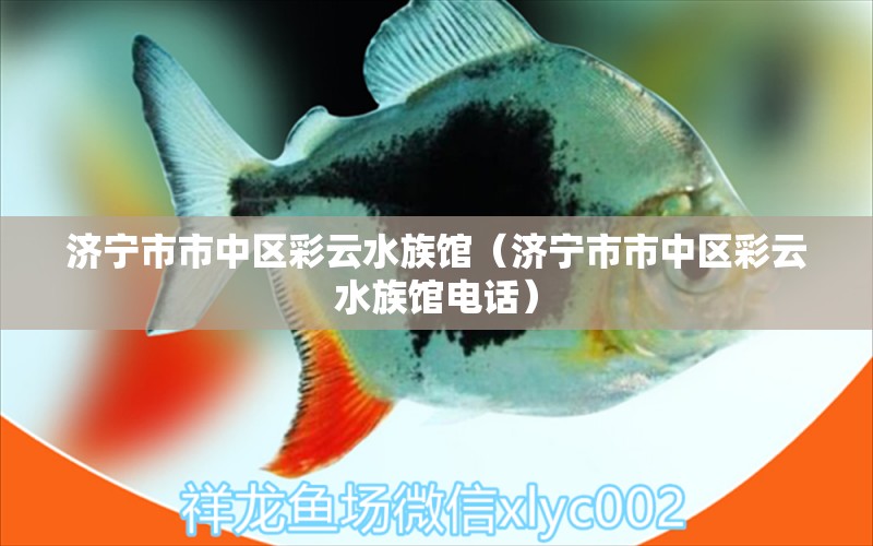 济宁市市中区彩云水族馆（济宁市市中区彩云水族馆电话） 全国水族馆企业名录