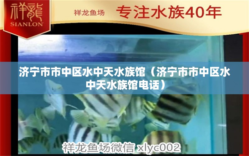 济宁市市中区水中天水族馆（济宁市市中区水中天水族馆电话）