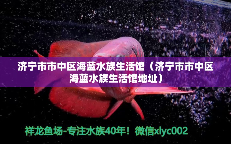 济宁市市中区海蓝水族生活馆（济宁市市中区海蓝水族生活馆地址）