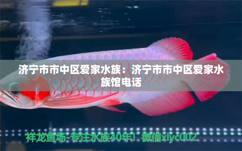 济宁市市中区爱家水族：济宁市市中区爱家水族馆电话