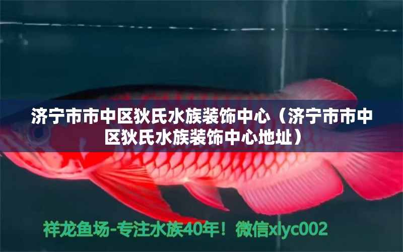 济宁市市中区狄氏水族装饰中心（济宁市市中区狄氏水族装饰中心地址） 全国水族馆企业名录