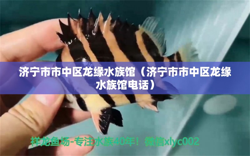 济宁市市中区龙缘水族馆（济宁市市中区龙缘水族馆电话） 全国水族馆企业名录