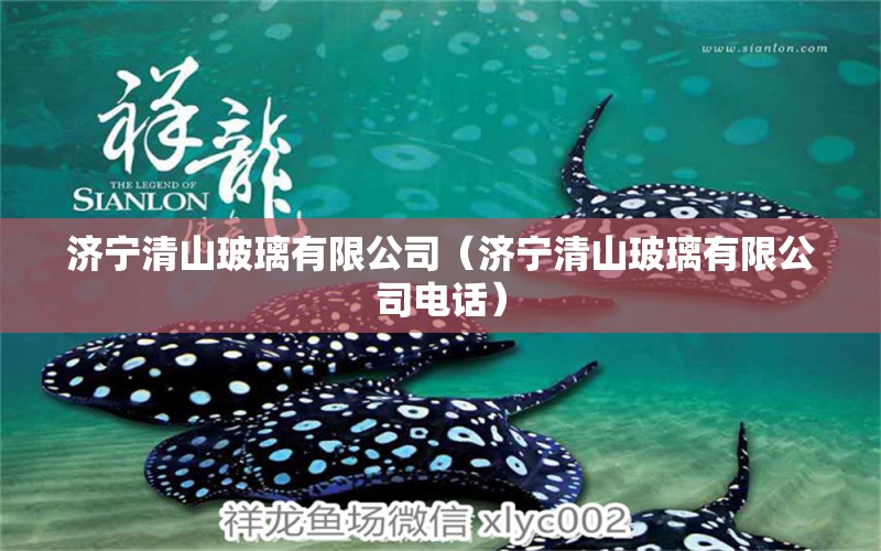 济宁清山玻璃有限公司（济宁清山玻璃有限公司电话） 全国水族馆企业名录