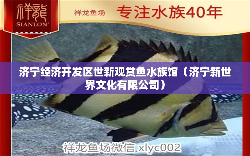 济宁经济开发区世新观赏鱼水族馆（济宁新世界文化有限公司） 全国水族馆企业名录